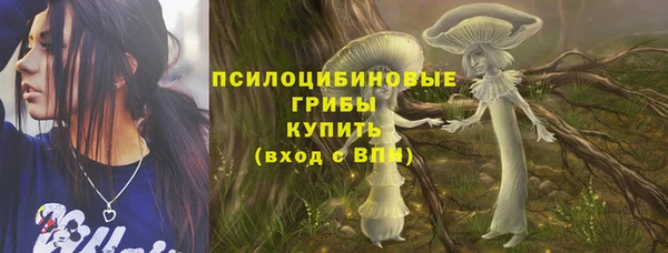 ешки Богородицк