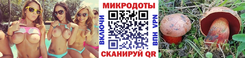 Галлюциногенные грибы Cubensis сайты даркнета какой сайт Малоярославец